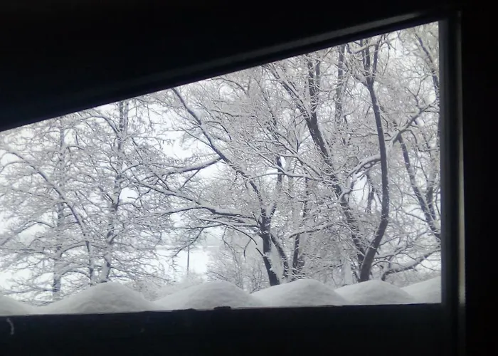 Alexander 3327 班斯科